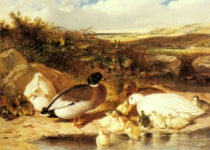 Mallard Ducks And Ducklings On A River Bank, 1863