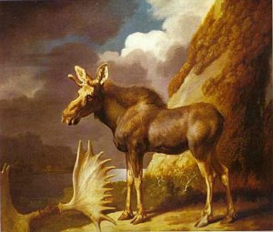 The Moose, 1770