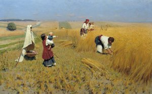 Harvest In Ukraine