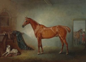 Lord Henry Bentinck's Chestnut Hunter 'Firebird', And 'Policy', A Foxhound,in A Loose Box , 1845