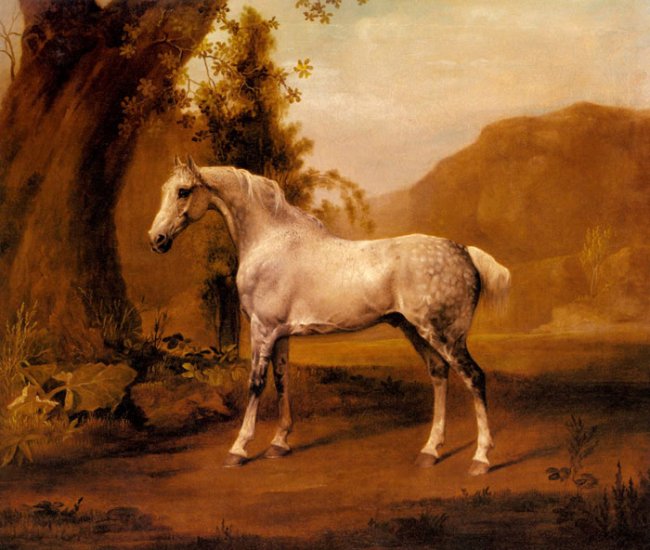 A Grey Stallion In A Landscape, C.1765 - Click Image to Close