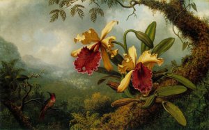 Orchids And Hummingbird, C.1875-1883