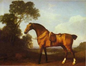 A Saddled Bay Hunter, 1768