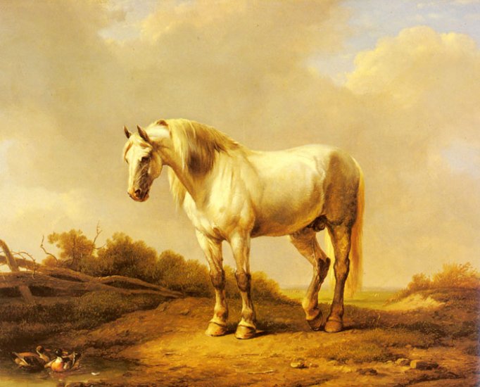 A White Stallion In A Landscape - Click Image to Close