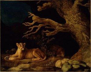 Lion And Lioness, 1771