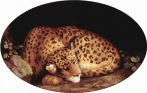 Leopard, 1780