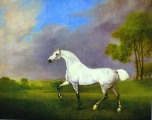 A Grey Horse, 1793