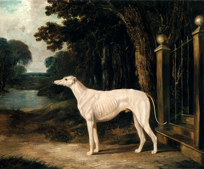 Vandeau, A White Greyhound, 1839 - Click Image to Close