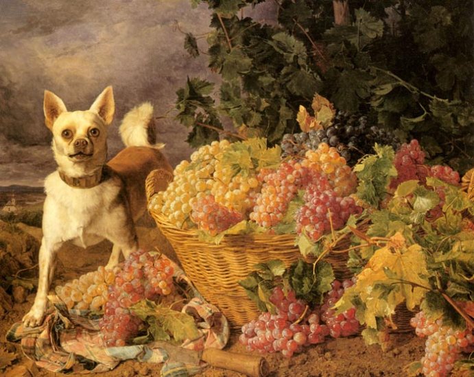 A Dog By A Basket Of Fruits - Click Image to Close