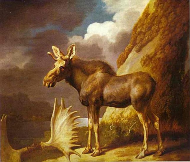 The Moose, 1770 - Click Image to Close