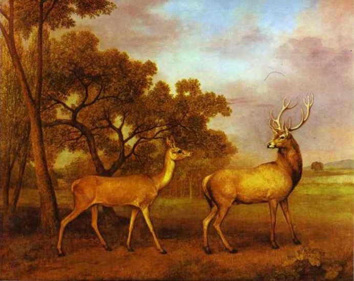 Red Deer Stag And Hind, 1972 - Click Image to Close