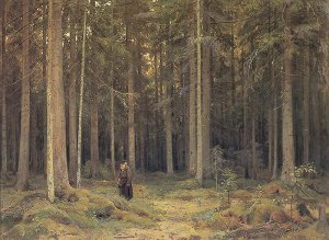 The Forest Of Countess Mordvinova, 1891