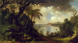 View From Fern Tree Walk, Jamaica, C.1870