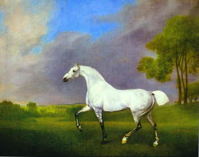 A Grey Horse, 1793 - Click Image to Close