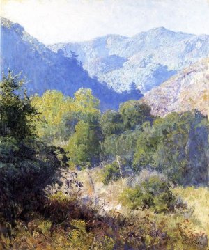 View In The San Gabriel Mountains