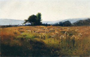 Mountain View From High Field, 1877