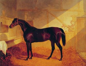 Mr Johnstone's Charles XII In A Stable, 1843