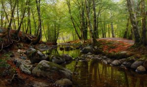 Monsted Stream With Rocks