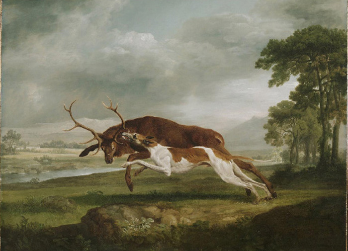 Hound Coursing A Stag, 1762