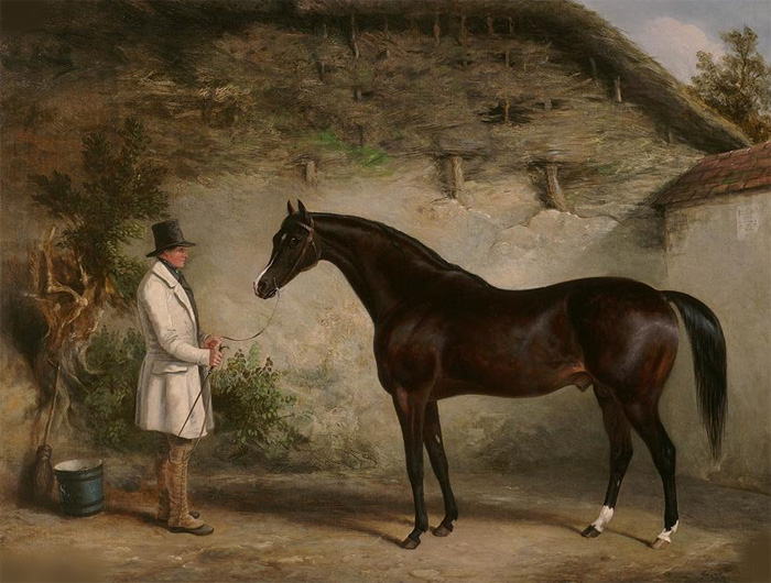 Mr John Barham Day's Dark Bay Horse 'Venison' With A Groom , 1845 - Click Image to Close