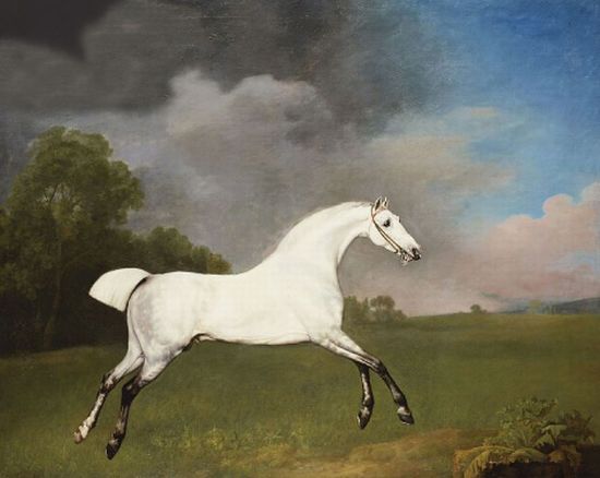 A Grey Horse, 1793