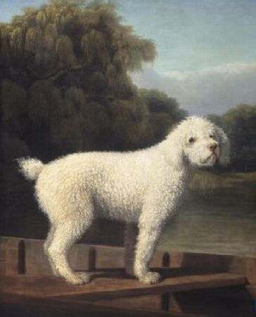 White Poodle In A Punt, 1780