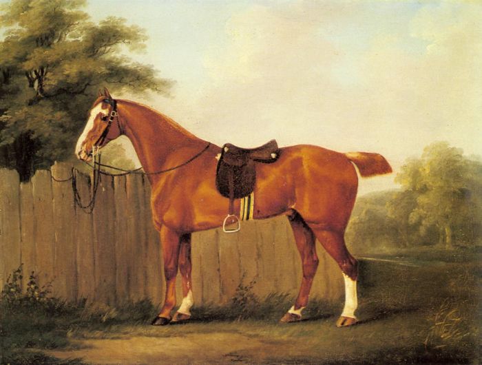 A Chestnut Hunter Tethered To A Fence, 1779 - Click Image to Close