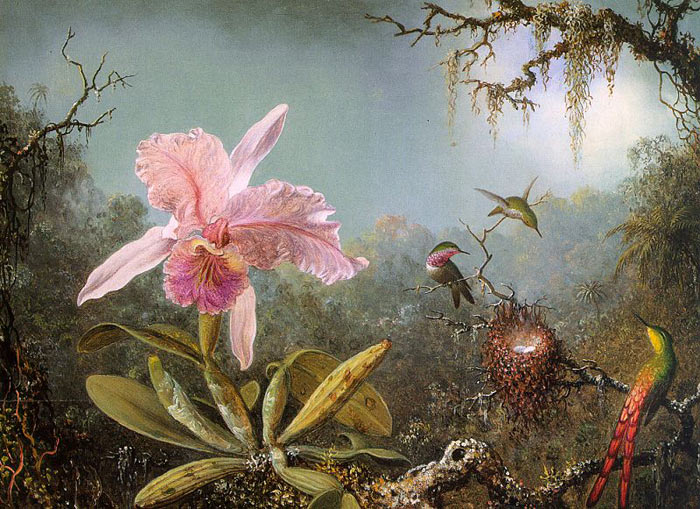 Cattleya Orchid And Three Brazilian Hummingbirds, 1871 - Click Image to Close