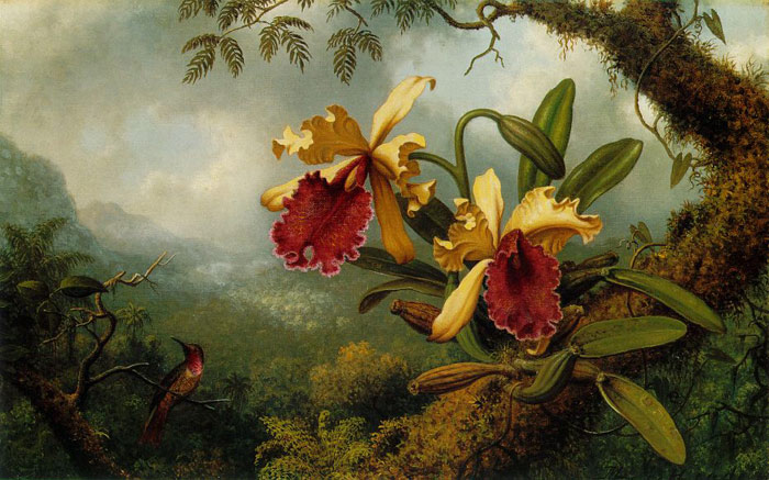 Orchids And Hummingbird, C.1875-1883