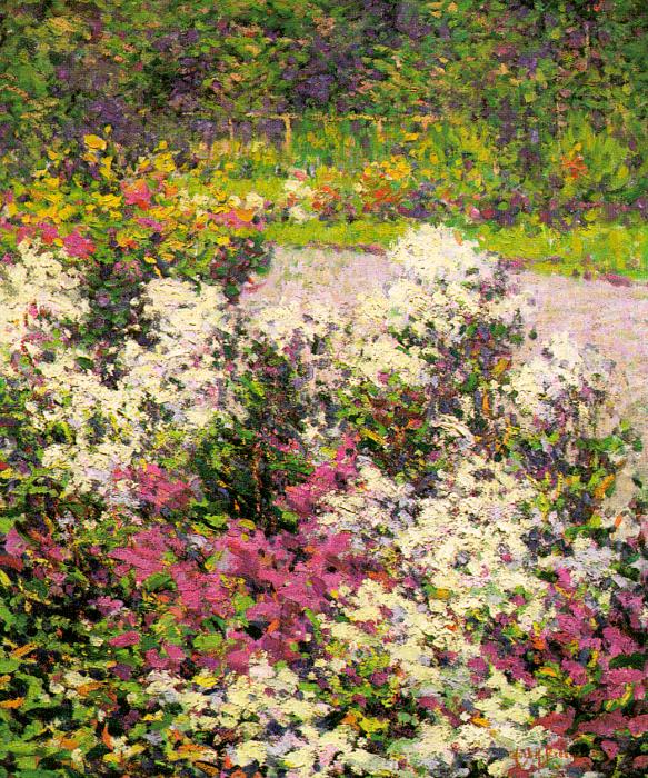 White Phlox, 1906