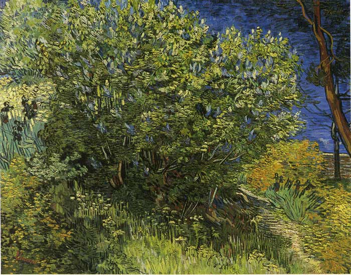 Lilac Bush, 1889