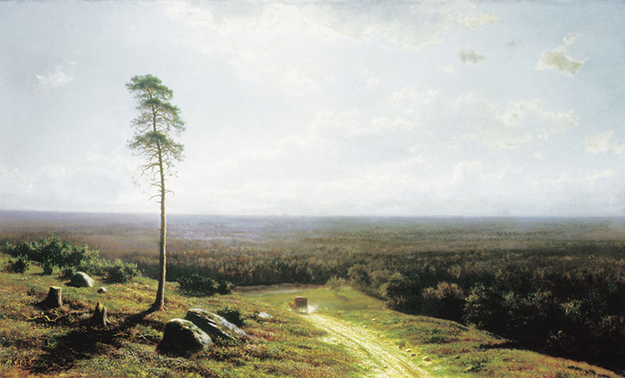 Forest At Midday, 1878