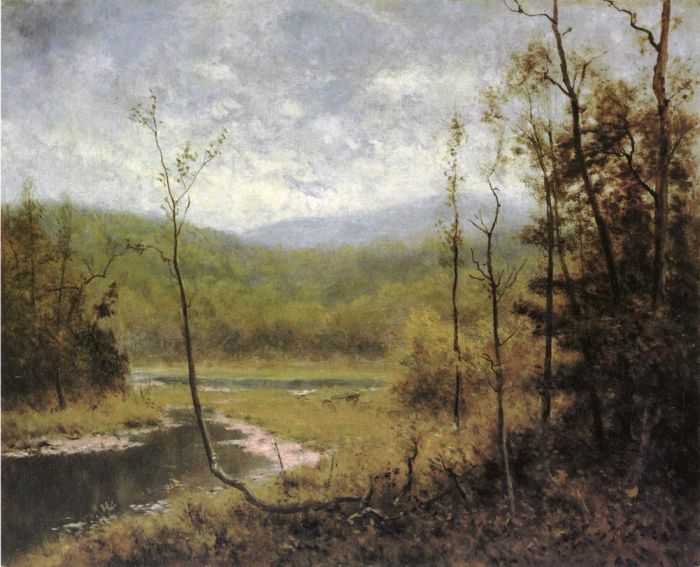 Quiet Stream, Adironcack Mountains