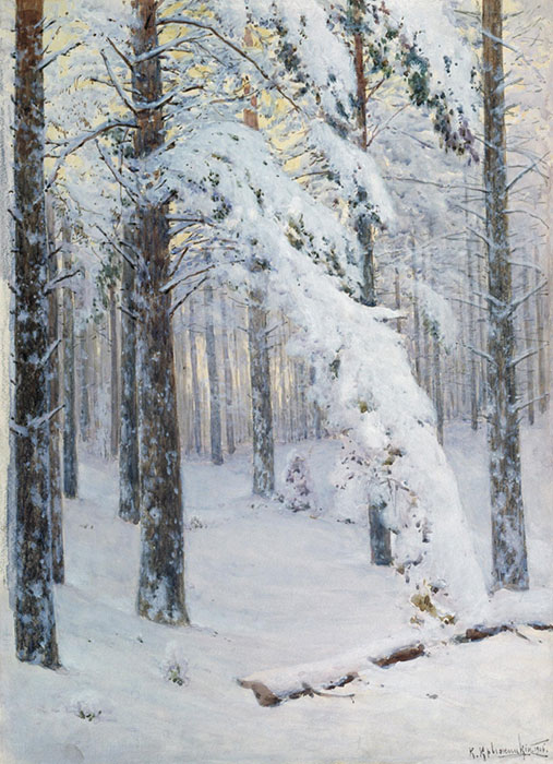 Winter Forest