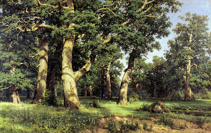 Oak Grove. 1887