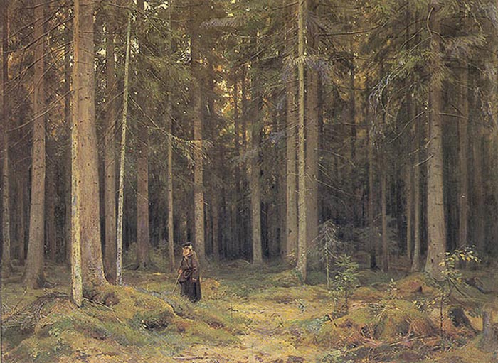 The Forest Of Countess Mordvinova, 1891