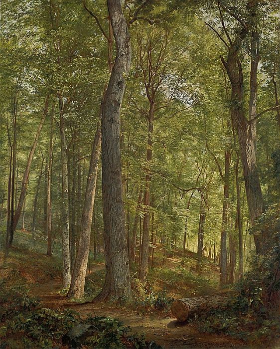 June Woods, Germantown - 1864