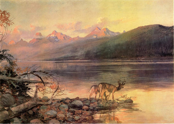 Deer At Lake McDonald, 1908