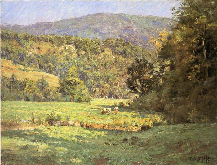 Roan Mountain, 1899