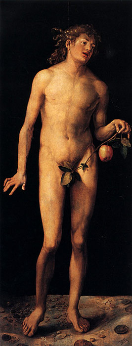 Adam, 1507